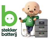 Stekker Batterij